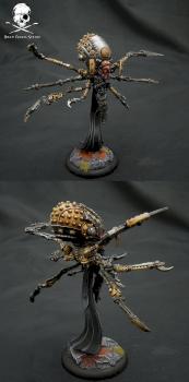 Exulon Thexus by Jolly Roger Studio
