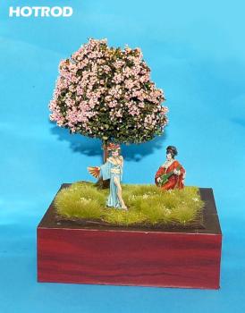 Geishas under a cherry tree by Hotrod