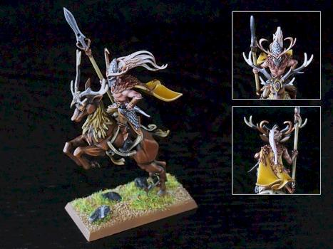 Wood Elf Wild Rider by barjed