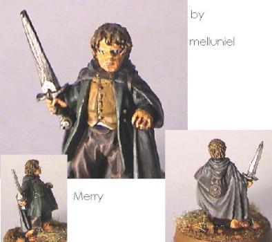 Merry (FotR) Lord of the rings by melluniel