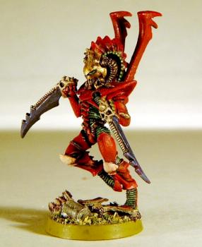 Dark Eldar by maru