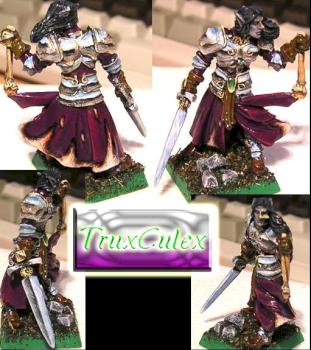 Warcrow mini .... my elvenvampire by TruxCulex