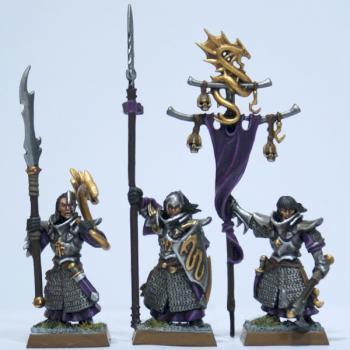 Dark Elf Warriors Command by Barbarossa79