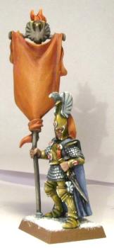 Highelv Standartbearer Re-Shot by Gurisson