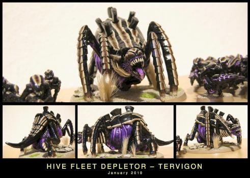 Tervigon by bastler