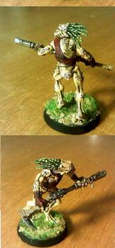 Kroot! by Squiggles
