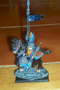 High elf silver helm knight by Hieroslave