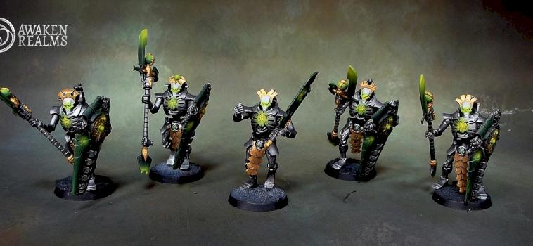 Necron Lychguard by Awaken Realms