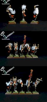 Dark Elf Witch Elves by perfectminiaturecom
