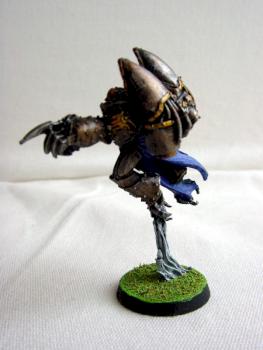 Raptor champion by amimmortal