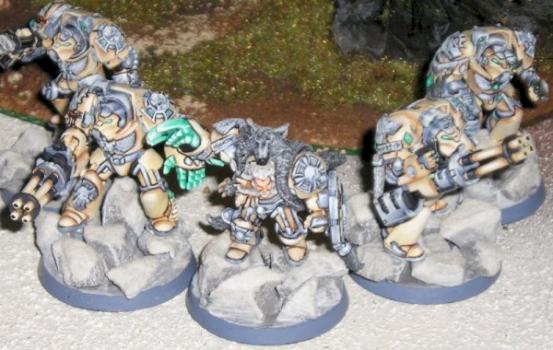 Space Wolves Terminator Wolf Guard by franz76