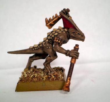 Skink by Vaughany