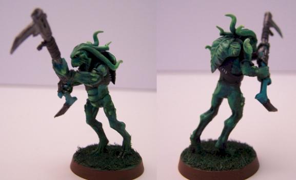 Kroot Phytophage by Dutch Mogul