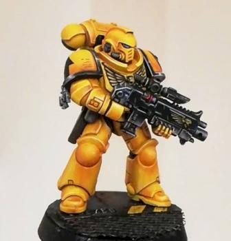 Imperial Fists Intercessor by FredPaints