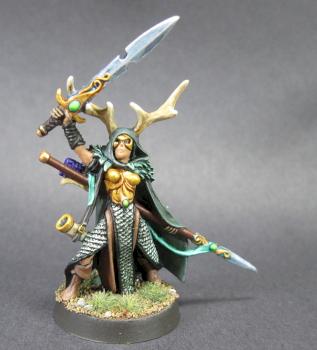 wanderers waystrider /Female Wood Elf Lord by mikecarrero