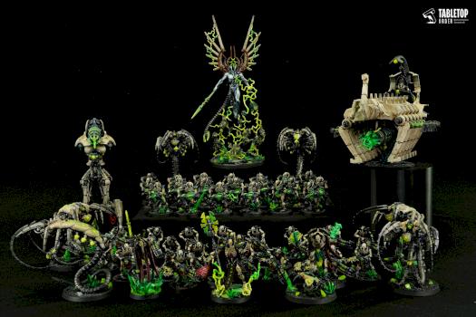Necrons Army by Tabletop Order
