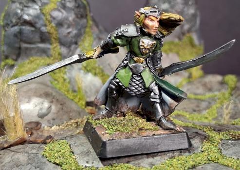Danithal, Elven Warlord by MrNoNameSoldier1977
