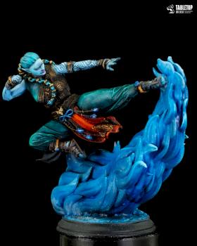 Custom D&d Monk by Tabletop Order