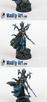 Lady Kashala, Void Elf General by MadFlyArtStudio