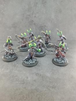 satyxis cryx by tom58