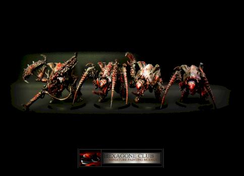 Warhammer 40.000 Tyranids Canifex Brood . by Hexagone Club