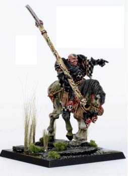 Nurgle Champion On Horseback by Minigrrrl