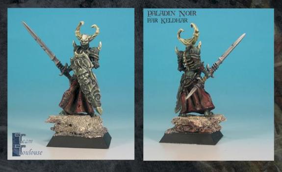 Paladin noir by keldhar
