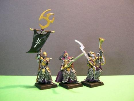 Dark Elves Executioners command by Shadowrune