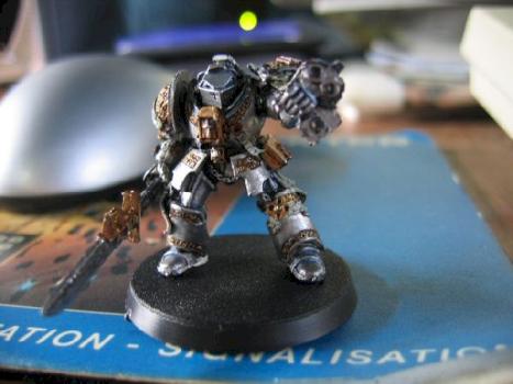 Terminator Chevalier Gris by Fox