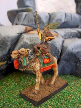 grifin fusilier on a camel 2 by thomas Edimo