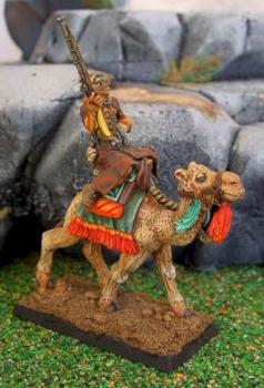 grifin fusilier on a camel by thomas Edimo