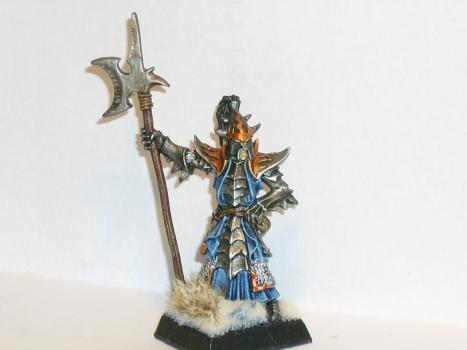 Dark Elves Black Guard by Baumi