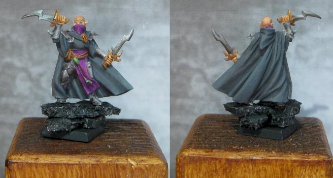 Dark Elf Assassin by glide888