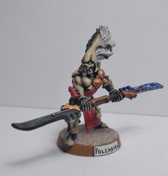 Polendyra Eldar Howling Banshee Exarch by Joan_McGregor