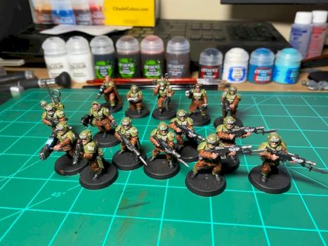 Cadian 501st CMD and Shooktroop SQD by FranktheTank