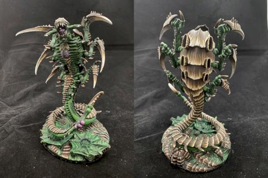 Trygon by jarrod.shingleton
