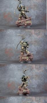 Typhus by CDB