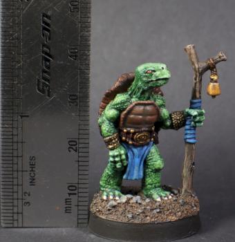 turtle mage by mikecarrero