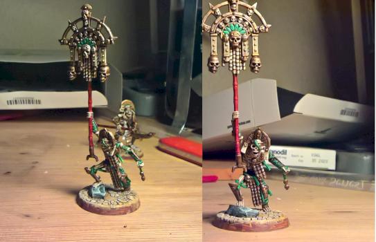 Tomb kings - Tomb Herald by Megelrov