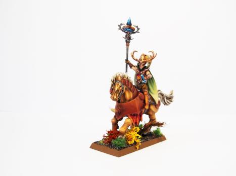 Elf Hero (conversion) by Heith