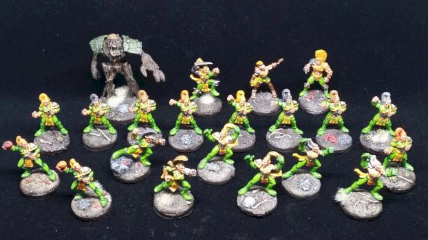 Wood elves blood bowl team by phiphe