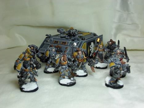 Wolfguard Pack by Faelan