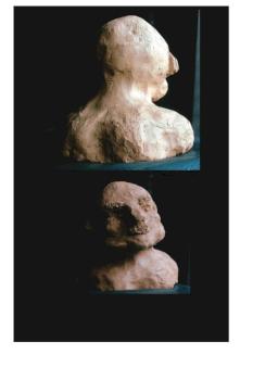 A mans head by xgjkddjk