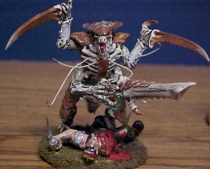 Tyranid Warrior by lachlin