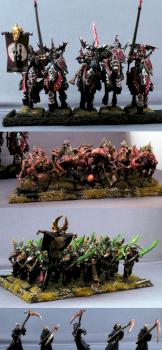 Vampire Counts Army by redarmy27