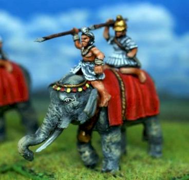 15mm Hellenistic Elephant by dygp2010