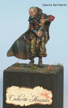 Cadwe Assasin by Sash