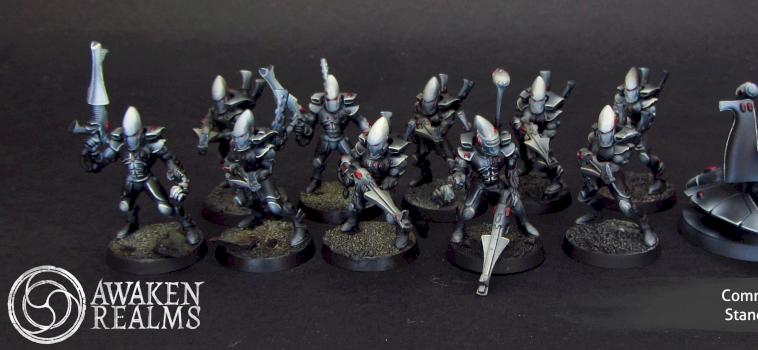 Eldar Guardians by Awaken Realms