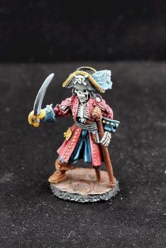 Vampire count: pirat captain by Salverius