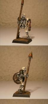 Vampire Counts: Skeleton Warrior by Treveron